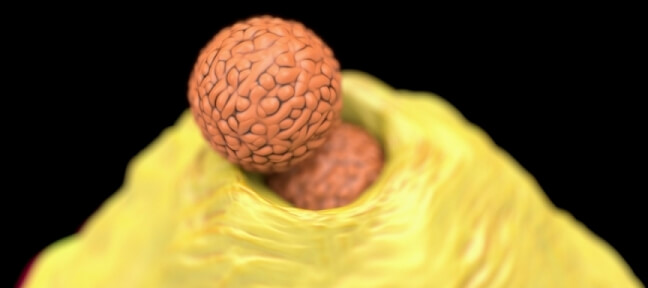 Blog Dr. Ahmet ACAR Dermatoloji • Cildiye Uzmanı